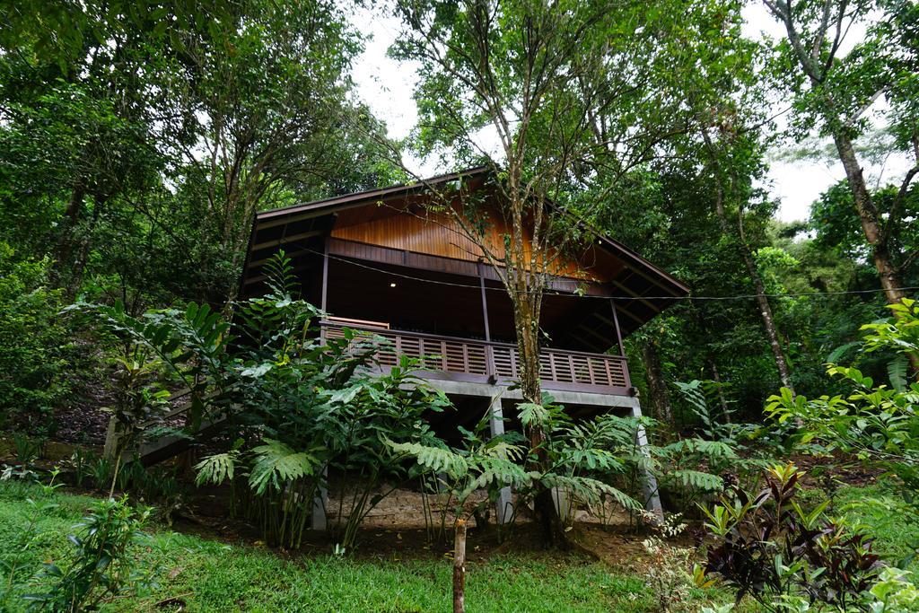 ホテルGreen Lake Linow Tomohon エクステリア 写真